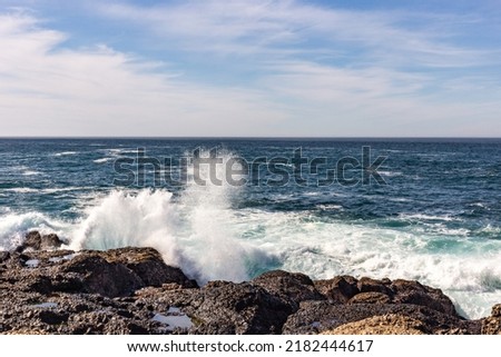 A view on the raging ocean with waves and rocks