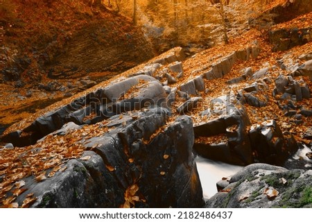 awesome sunset  autumn landscape in the mountains, stunnig morning autumn scenery,  Europe 