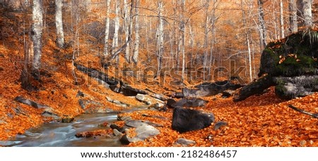 panoramic autumn scenery, scenic auumn landscape in Europe, Carpathians, Ukraine