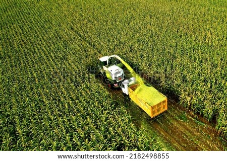 Corn Harvest. Forage harvester on maize cutting in field. Harvesting crop in farm field. Self-propelled Harvester for agriculture. Tractor on corn harvest. Aerial View Of A Farmer Harvesting Silage.  Royalty-Free Stock Photo #2182498855