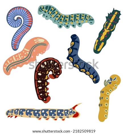 A set of colorful caterpillars on a white background. Illustration for a postcard, banner, decor.