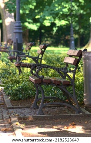 Metal benches with wooden seats. An alley with benches in the park.