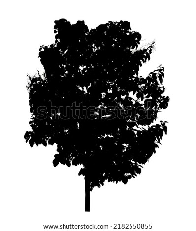 Silhouette tree brush design on white background, illustrations brush brush from real tree with clipping path and alpha channel