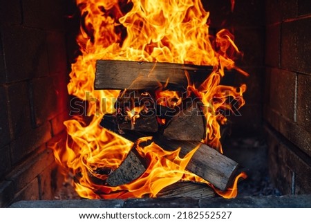 burning fire logs in fireplace