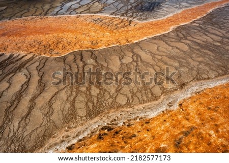 Mineral deposits, Grand Prismatic Spring, Midway Geyser Basin, Yellowstone National Park, Wyoming, USA