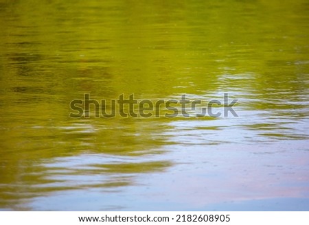 The green expanse of water on the reservoir as an abstract background. Texture