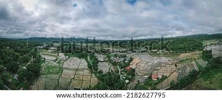 Panorama Aerial Shot. Image of beautiful rice field and road in Thailand