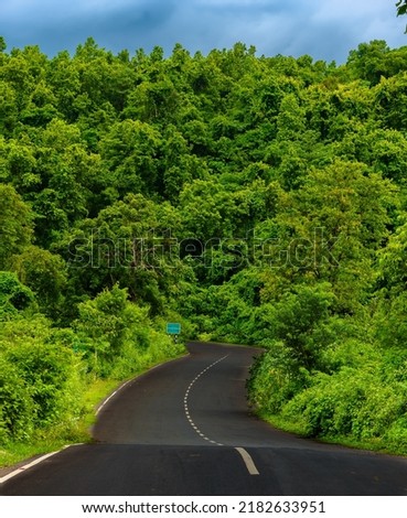 Scenic Curvy Tarmac Road between Forest. Selective Focus is used. 