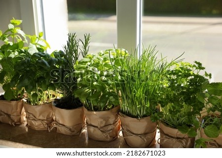 Different aromatic potted herbs on windowsill indoors Royalty-Free Stock Photo #2182671023