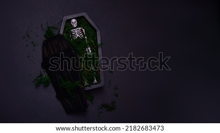 Skeleton in a coffin on a black background. Halloween decoration