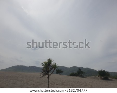 Sand dune with gray sky