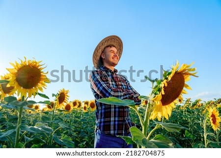 side view of Happy lucky young farmer with arms crossed stands in his field with sunflowers. Man smiles happy, it is a good sunny day. On the head is a hat, it protects from the scorching sun.