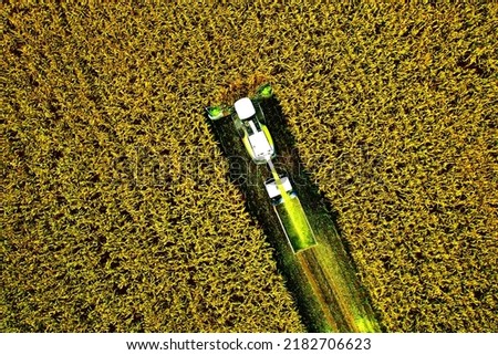 Corn Harvest. Forage harvester on maize cutting in field. Harvesting crop in farm field. Self-propelled Harvester for agriculture. Tractor on corn harvest. Aerial View Of A Farmer Harvesting Silage.  Royalty-Free Stock Photo #2182706623
