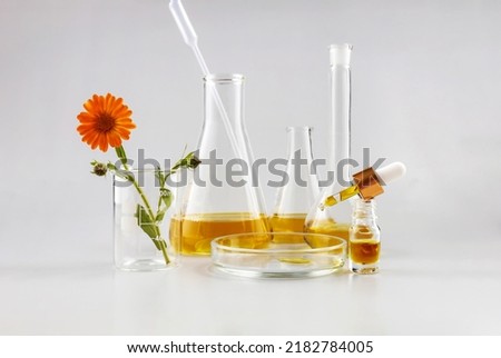 bottle with a pipette, laboratory flasks and calendula flowers on a gray background