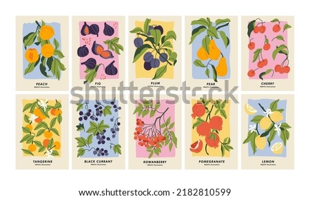 Vector illustration set of botanical posters with different fruits. Art for for postcards, wall art, banner, background Royalty-Free Stock Photo #2182810599