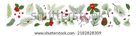 Christmas pine cone, branch spruce and fir, evergreen vector icon, winter tree, green plant and red holly berry, mistletoe isolated on white background. Cartoon holiday nature illustration
