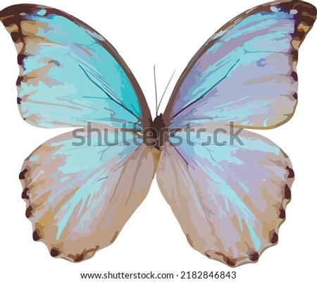 Graphical hand drawn butterfly. Vector.	