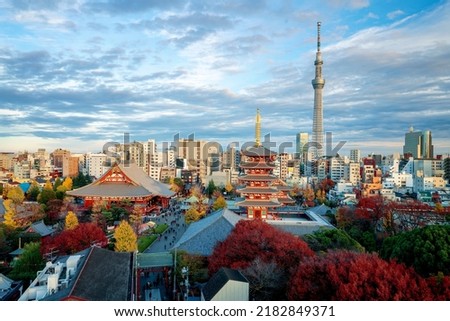 Sensoji temple with autmn and tower background from top view, Asakusa, Tokyo city, Japan