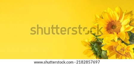 Beautiful sunflowers on yellow background. Sunflower background. Flat lay, top view, copy space, banner