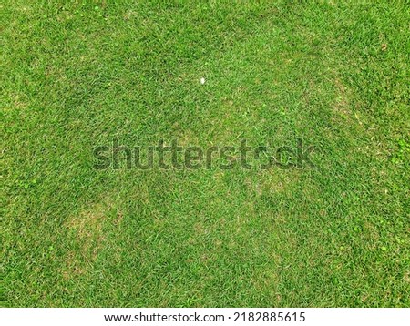 Green grass texture background Top view of bright grass garden Idea concept used for making green backdrop. Artificial grass background with copy space.green wallpaper for text and picture
