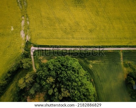 Aerial View Over Yellow And Green Agricultural Field  Royalty-Free Stock Photo #2182886829