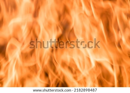 The flames of the fire. Fire. The forest is burning. Background.