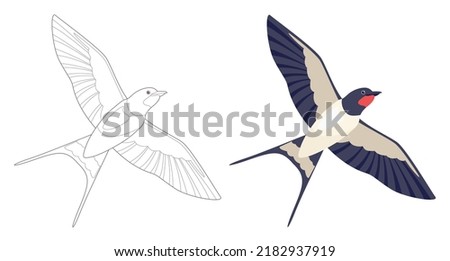 Coloring page outlined flying swallows. Bird in flight. Vector flat illustration isolated on white. Coloring book for children. 
