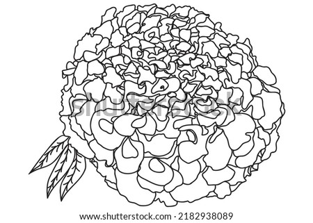 calendula flower is drawn, you can use it for cards, tattoos, prints, March 1st 8, Valentine