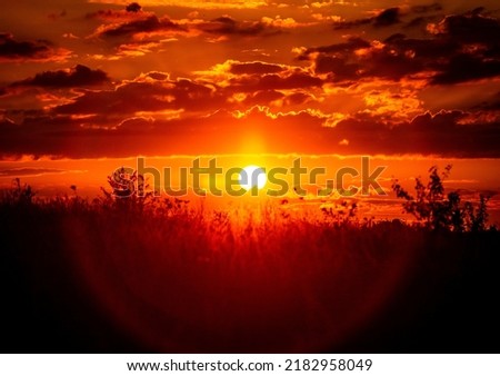 Red sunset of the hot sun on the background of the silhouette of a tree and dry grass. Red Sky. Global warming, climate change, extreme heat waves. Hot evening. Danger of fire. Royalty-Free Stock Photo #2182958049