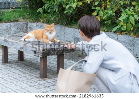 Woman playing with a stray cat Royalty-Free Stock Photo #2182961635
