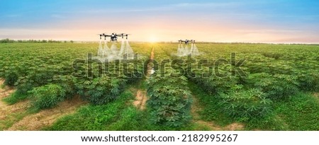 Agriculture drone fly to sprayed fertilizer on row of cassava tree. smart farmer use drone for various fields like research analysis, terrain scanning technology, smart technology concept. Royalty-Free Stock Photo #2182995267
