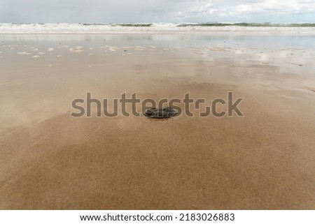 Beach scene in Queensland, Australia near Byron Bay, 