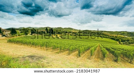 Vineyards Val D'Orcia Italy agriculture Royalty-Free Stock Photo #2183041987