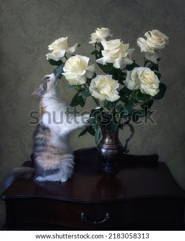 Pretty tricolor kitty and splendid bouquet of roses