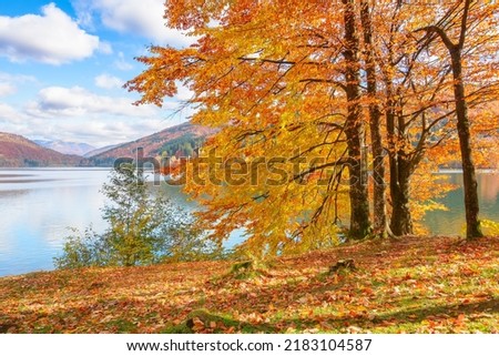 mountain landscape at the lake in autumn. trees in colorful foliage on the shore. beautiful nature scenery on a sunny day with fluffy clouds on the blue sky reflecting on the rippled water surface
