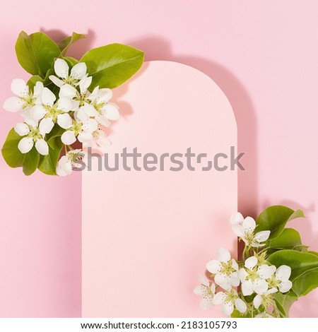 Pink blank rectangle rounded arch card for text mockup with white apple tree flowers soar on pastel pink background, square. Wedding floral background for advertising, branding identity, design.