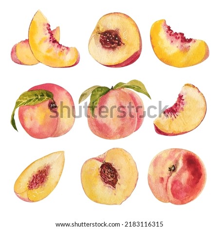 Watercolor hand drawing peach fruit slice set for sweet summer design