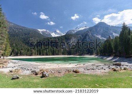 Part of Tovel lake on 1178 meters altitude enframed by Parco Naturale Adamello Brenta, Ville d'Anaunia, Trentino, Italy Royalty-Free Stock Photo #2183122019