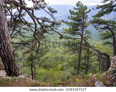 Landscape view of the rock Ay Petri of Crimea with green pines. Royalty-Free Stock Photo #2183187537