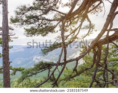 Landscape view of the rock Ay Petri of Crimea with green pines. Royalty-Free Stock Photo #2183187549