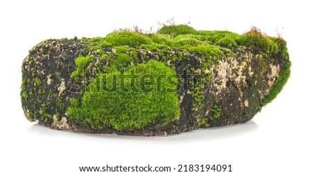 Old brick in moss isolated on white background. Detail for design. Design elements. Macro. Full focus. Background for business cards, cards and posters 