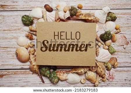 Hello Summer text message decoration with seashell on wooden background