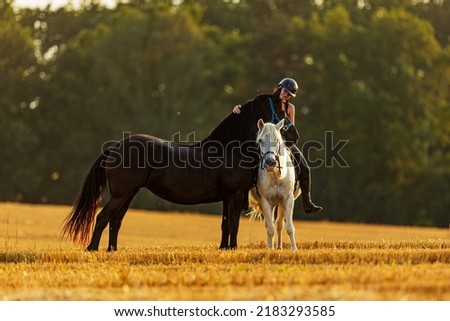 Young woman on a white horse stroking a black Friesian mare
