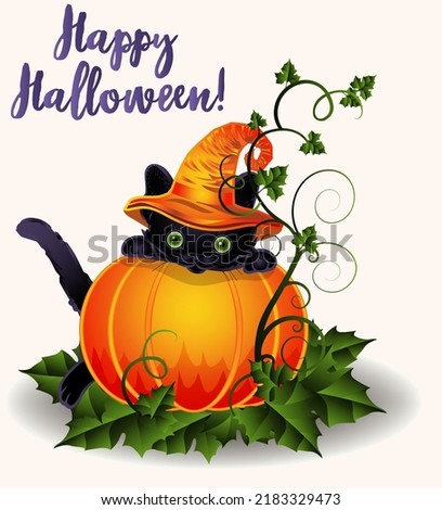 Happy Halloween  black cat and pumpkin, vector illustration