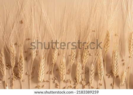 Ears of wheat and bowl of wheat grains on brown background