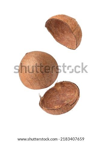 Broken brown coconut flying in the air isolated on white background.