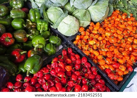 Types of vegetables on the market, vegetables for salads taste delicious