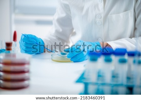 Microbiology researcher working in a laboratory, using an inoculation rod to spread out culture with bacteria onto a nutritional agar in a Petri dish  Royalty-Free Stock Photo #2183460391