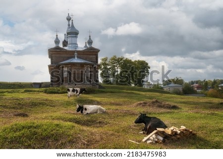 Pastoral photo on the green hills, where cows graze and rest, surrounded by ancient architecture. The embossed white-gray sky sets off the rural landscape. Cherdyn (Northern Ural, Russia)
