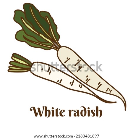 Hand drawn flat cartoon vector illustration of white radish, daikon, Chinese radish isolated on white background Royalty-Free Stock Photo #2183481897